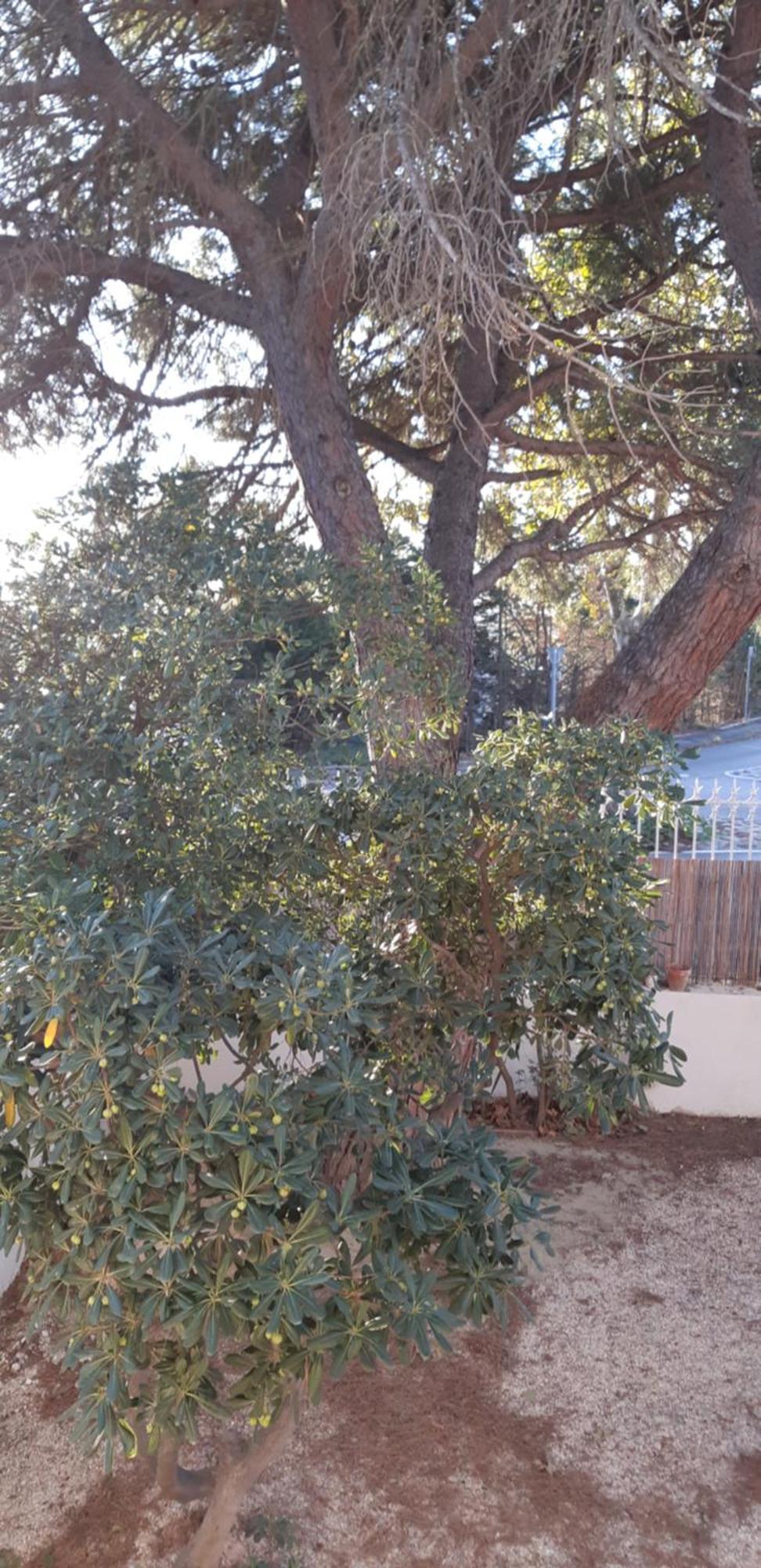Le Mas Palegry Chambres D'Hotes Perpignan Exterior foto